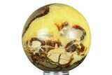 Polished Septarian Sphere - Madagascar #289932-1